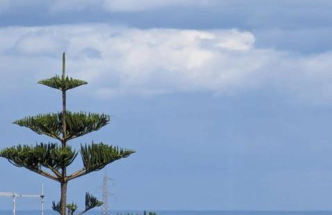 Casa Emilia - Foto 25