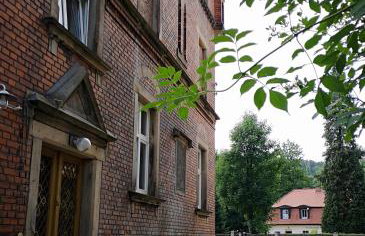 Kot Pocztowy - Foto 54