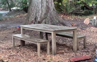 Enchanted Hollow- Cozy, Romantic Woodland Getaway - Photo 27