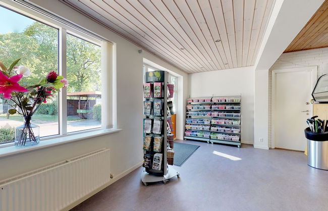 Jelling Familie Camping - Foto 3