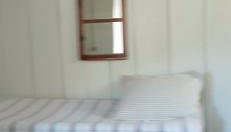 Canto da árvore - Foto 4