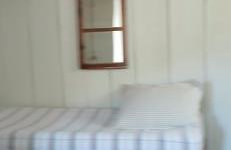 Canto da árvore - Photo 4