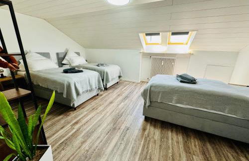 Monkey Flat 2 Zimmer Wohnung in Vohburg mit Büro - Foto 4