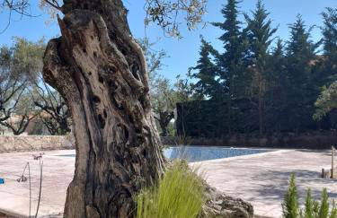 Nissi Collection Rooms - Foto 51