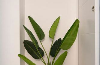 Oshun Mirasierra - Foto 23