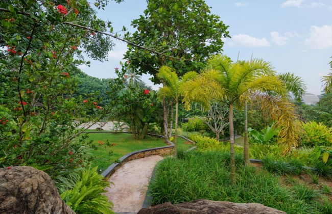 Cool and Contemporary Hilltop Villa With Ocean Views - Photo 12