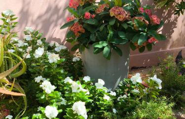 Casa Mari Suites - Foto 3