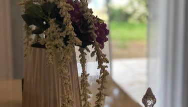 Αgrilitsa House - Foto 3