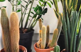 Appartement moderne avec terrasse - 15min de Paris - Foto 6