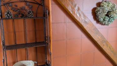 Les Chanterelles La souris des champs - Foto 2