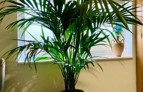 Elkstone House, Hot tub Luxury, Comfortable Home - Foto 13