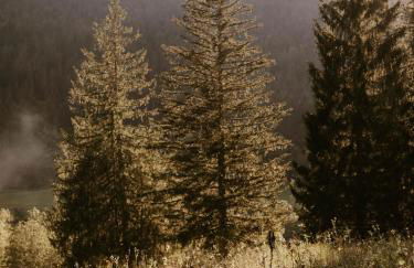 Die Suttenhütte - Foto 12