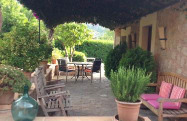 Ses llimoneres - Foto 35