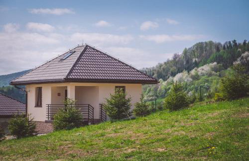 Domek w Bieszczadach - Photo 1