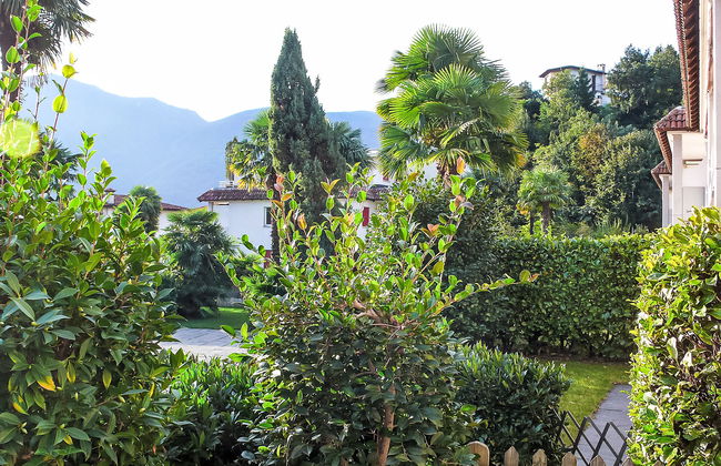 Collina Verde B - Foto 9