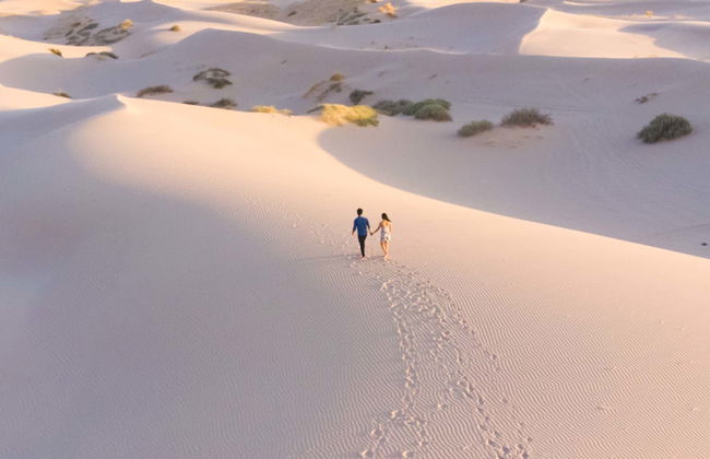 Sandboard aux dunes de Samalayuca - Photo 6