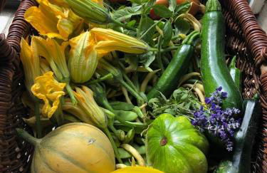 L'Olivier Fleurie Barjols - Foto 73