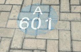 Apartamento para temp Fest Juninos - Foto 2