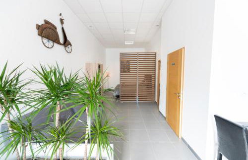 LOFT LA MINE D'OR - Parking gratuit et privé - Wifi - Tout équipé - Machine à laver - Foto 18