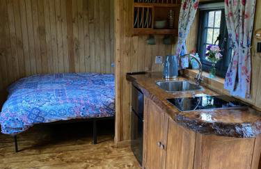 Shepherd Hut Lodge on Farm Waterside Goodwin Farm - Photo 23