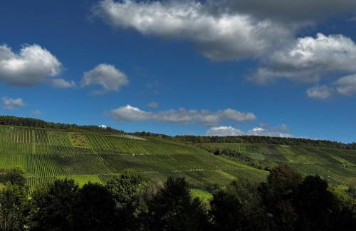 Ferienwohnungen Auszeit Taubertal - Foto 35