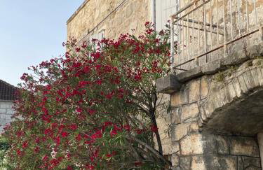 Apartment Lidija - Foto 2