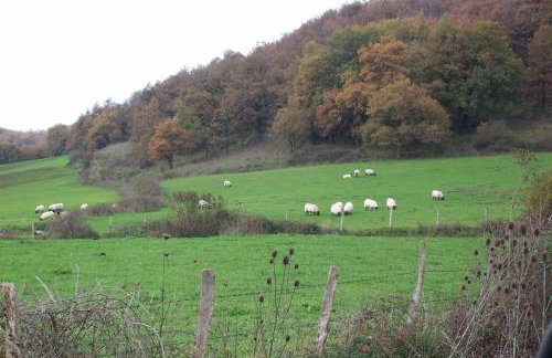 Casa rural Sagastietxea II - Foto 11