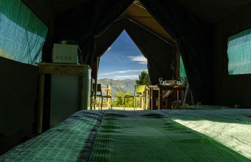 Safari Glamping Portugal Koi Fish - Foto 60