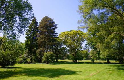 Spinney on the Green - Foto 12