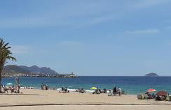 Sol Mediterráneo - Palm Beach 5 - Photo 30