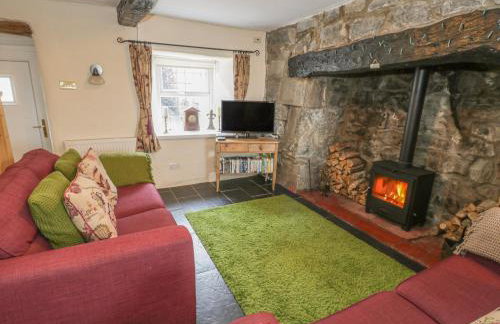 Plas Arenig - Foto 5