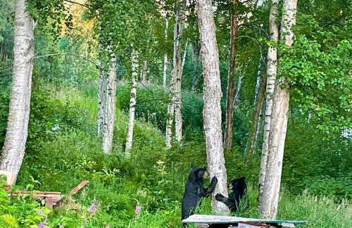 Eagle River Retreat - Foto 31