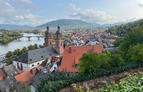 schönes Studio für Ihren Kurzurlaub in Miltenberg - Foto 3