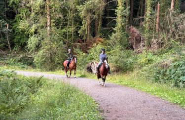 The Annexe at Kirtonia - Foto 21