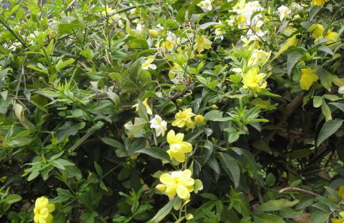 RITA'S ROOM ON THE SEA - Photo 9