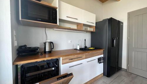 Łap chwilę Ostrowo - Foto 5, stove, dishwasher, pet friendly, minibar