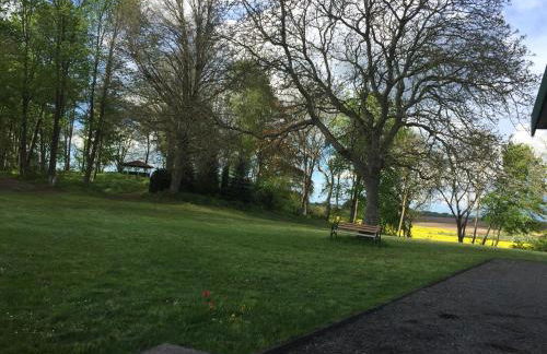 Blauer Salon - Foto 11