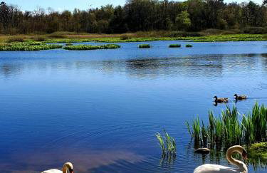 Apartament & Spa 5 Mórz - Foto 55