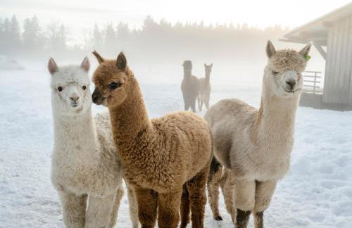 Hussnhof Farm Lodge - Foto 4