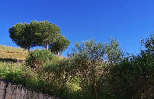 CASA TRABANCOS - Foto 18