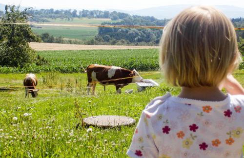 Ferienhof Siber - Photo 12