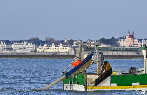 Gite La Lueur du Hable - Baie de Somme Hable d'Ault - Foto 15
