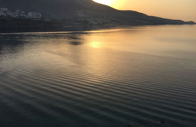 Teras Butik Apart - Photo 66