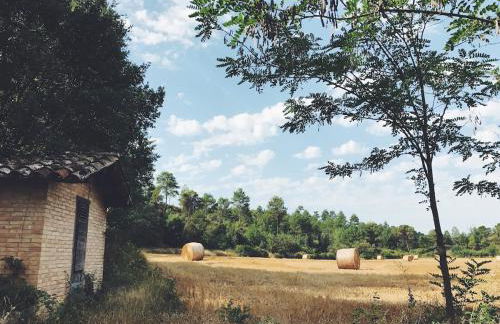 La Vila Argençola, casa rural a la Catalunya Central - Foto 34