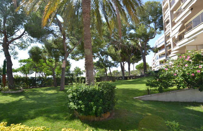 Cala Dorada - Foto 30