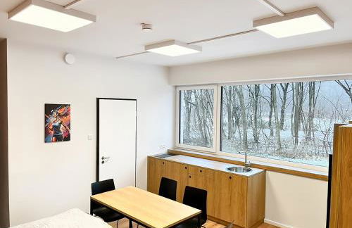 Erlebniswelt Resort Apartment 4 - Foto 4