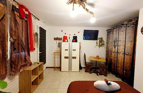 Studio19 Cosy Sauna Jacuzzi et jardinet privatifs - Foto 24