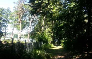 Holzhaus Waldwichtel am Wald und See - Photo 12