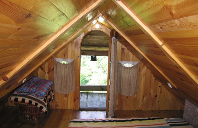 Holiday House Carovina - Foto 3