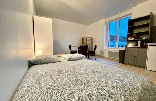 101 T2 Immeuble Persévérance - Foto 9